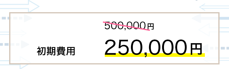 初期費用が、通常500,000円が半額の250,000円