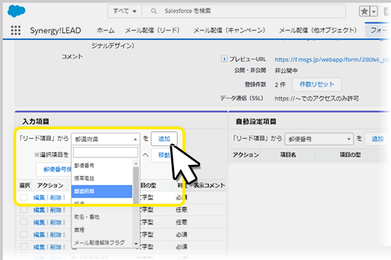 Salesforceの管理画面でのフォーム入力項目追加のイメージ