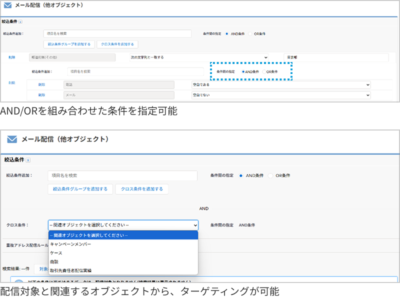 配信先の絞り込み条件は、AND/ORを組み合わせた条件を指定可能。配信対象と関連するオブジェクトから、ターゲティングが可能。